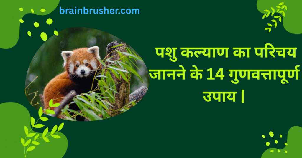 14 Quality ways to know Introduction to Animal Welfare | पशु कल्याण का परिचय जानने के 14 गुणवत्तापूर्ण उपाय |