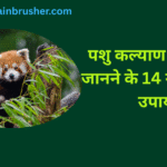 14 Quality ways to know Introduction to Animal Welfare | पशु कल्याण का परिचय जानने के 14 गुणवत्तापूर्ण उपाय |