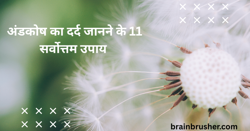 11 best ways to know about Testis pain |अंडकोष का दर्द जानने के 11 सर्वोत्तम उपाय |