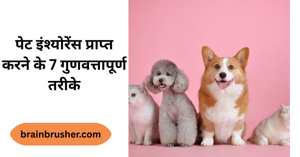 7 Quality Ways to Get Pet Insurance | How Does It Work? | पेट इंश्योरेंस प्राप्त करने के 7 गुणवत्तापूर्ण तरीके | यह कैसे काम करता है? |