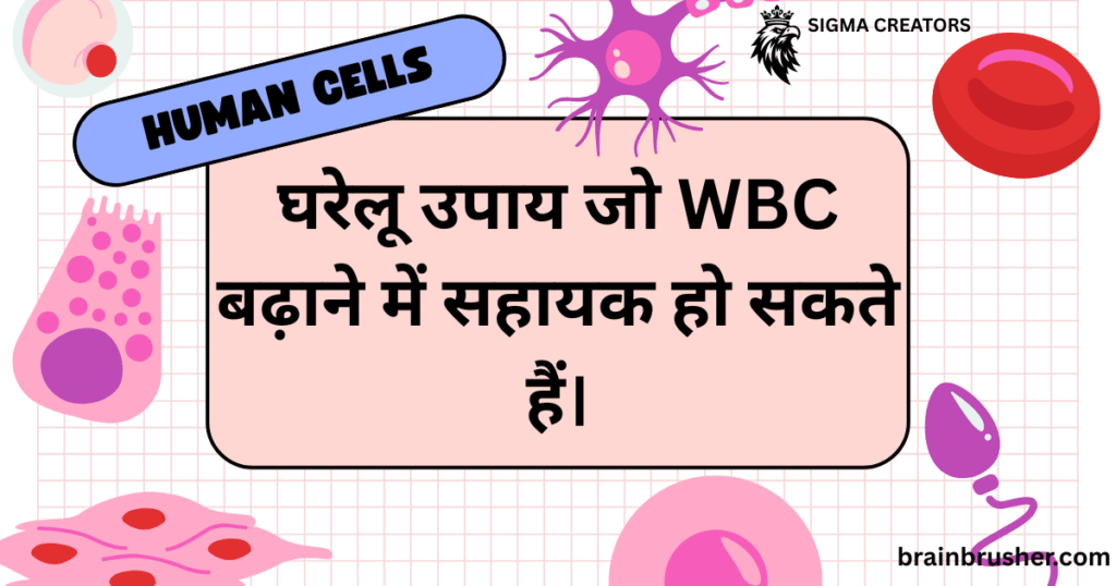WBC । White Blood Cells । श्वेत रुधिराणु । जानिए ये कम क्यों हो जाते हैं और इन्हें कैसे बढ़ाएं ।