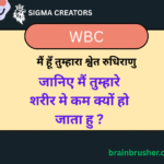 WBC । White Blood Cells । श्वेत रुधिराणु । जानिए ये कम क्यों हो जाते हैं और इन्हें कैसे बढ़ाएं ।