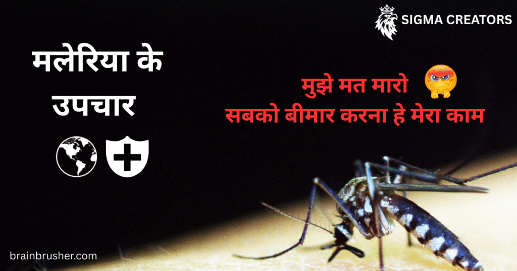 Malaria Symptoms, Causes And Treatment | मलेरिया के लक्षण, कारण और 4 इलाज | Bye-Bye Malaria |